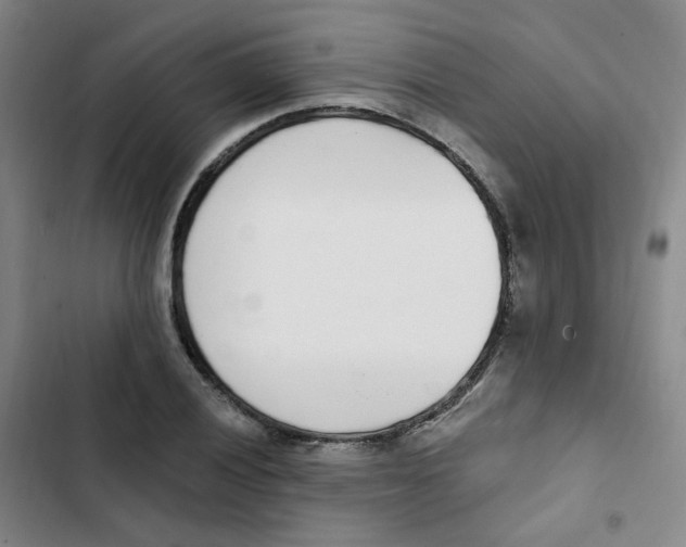 X0000102851028200809151122