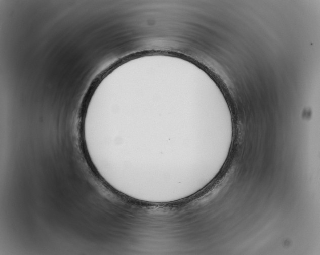 X0000102851029200809151122