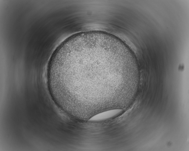 X0000102851031200809151122