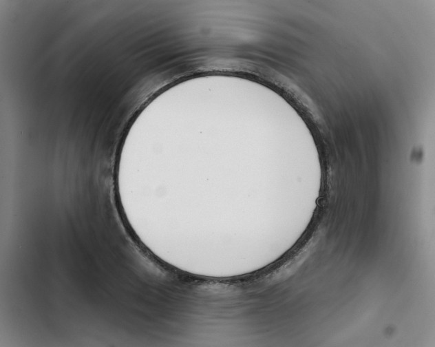 X0000102851033200809151122