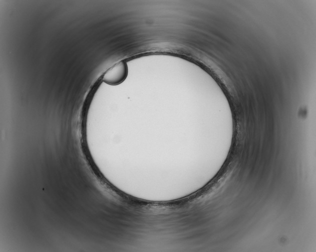 X0000102851034200809151122