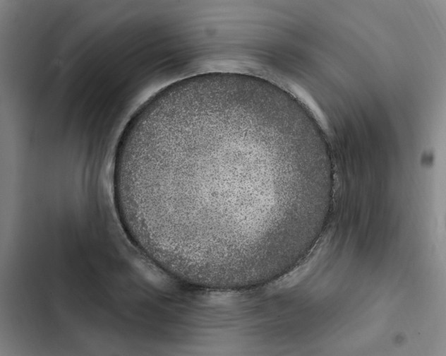 X0000102851035200809151122