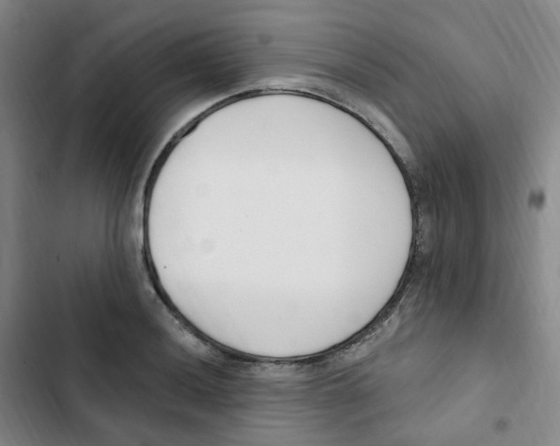 X0000102851036200809151122