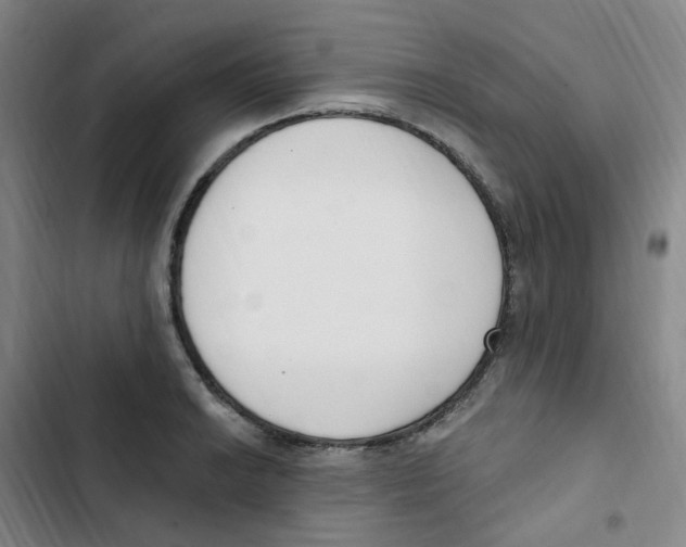 X0000102851038200809151122