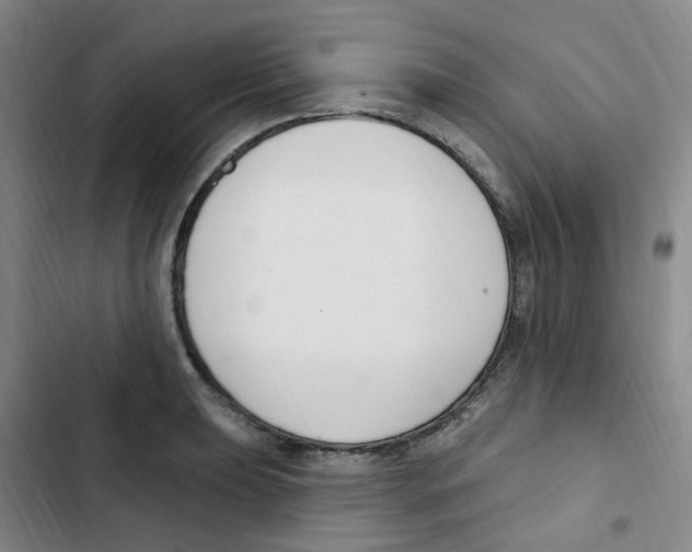 X0000102851039200809151122