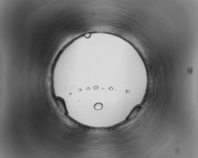 X0000102851040200809151122