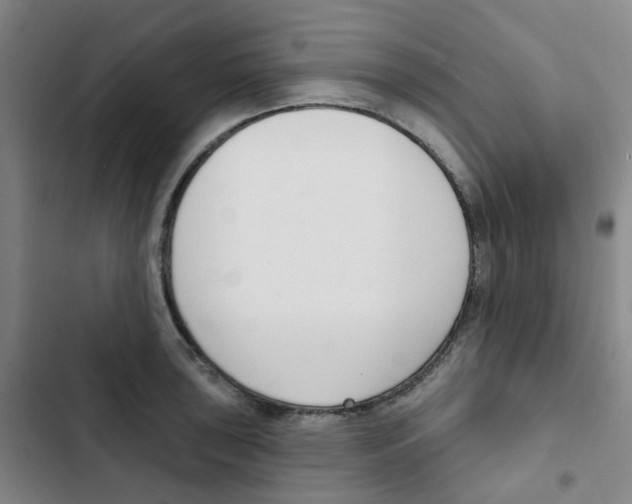 X0000102851043200809151122