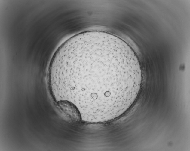 X0000102851044200809151123