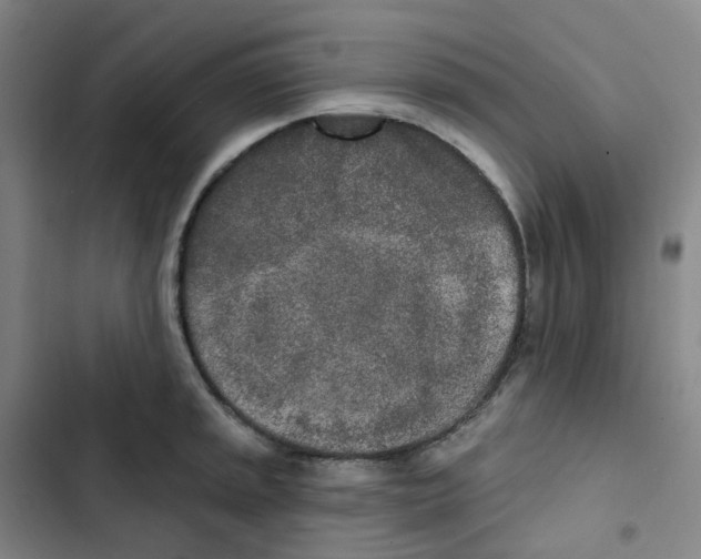 X0000102851045200809151123