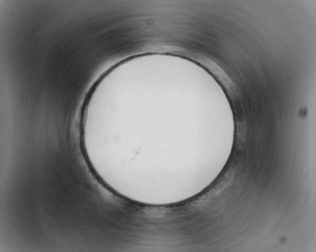 X0000102851046200809151123