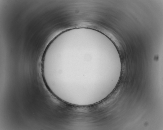 X0000102851047200809151123