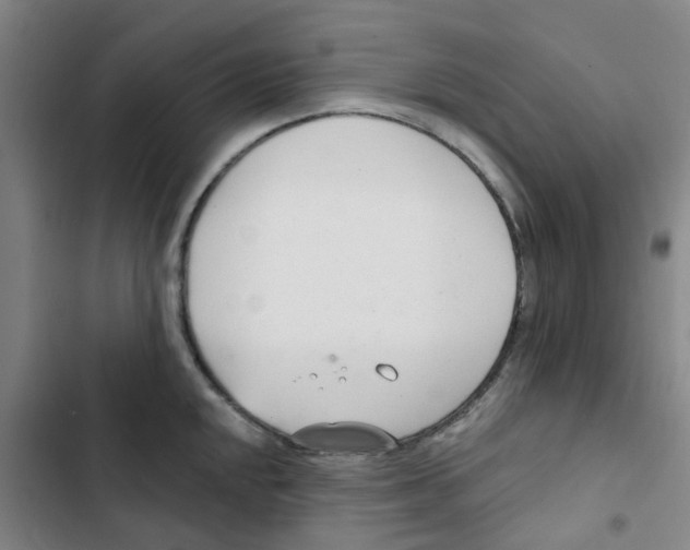 X0000102851048200809151123