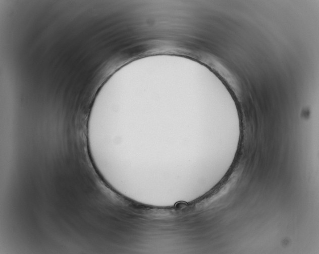 X0000102851049200809151123