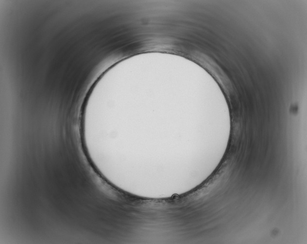 X0000102851050200809151123