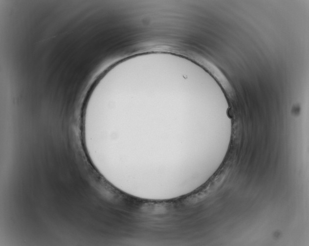 X0000102851051200809151123