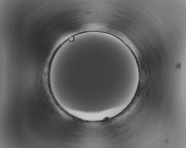 X0000102851053200809151123