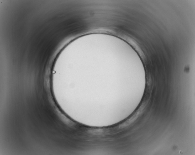 X0000102851054200809151123