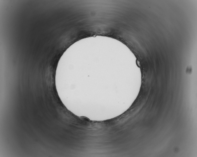 X0000102851058200809151122