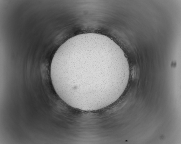 X0000102851059200809151122