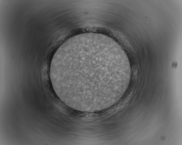 X0000102851060200809151122