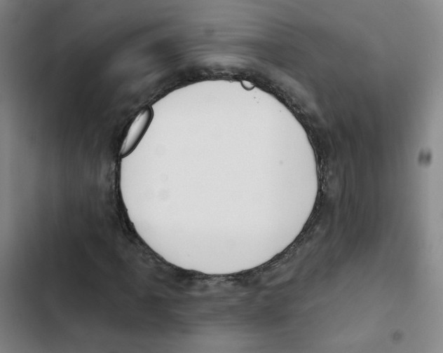 X0000102851061200809151122