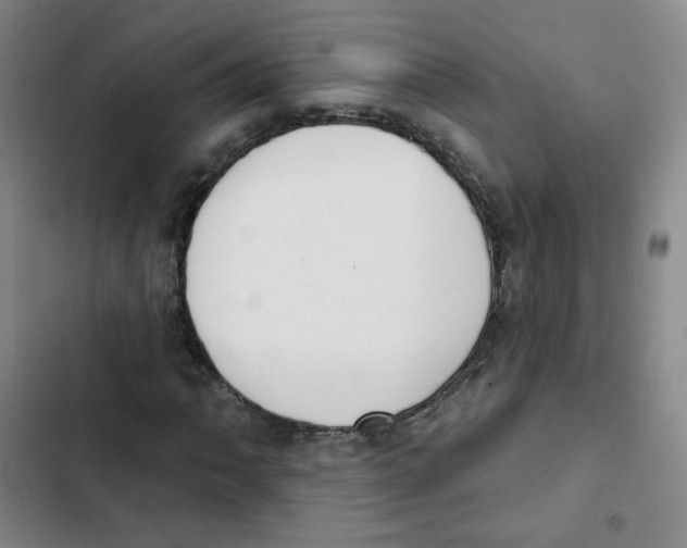 X0000102851062200809151122