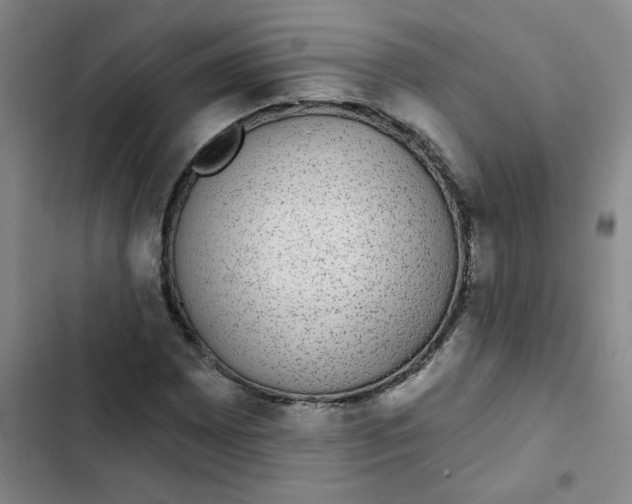 X0000102851065200809151122