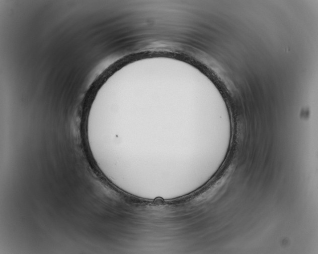 X0000102851066200809151122