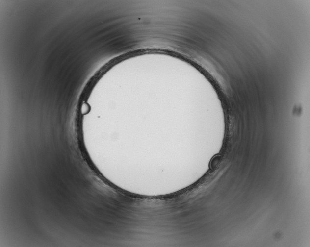 X0000102851068200809151122