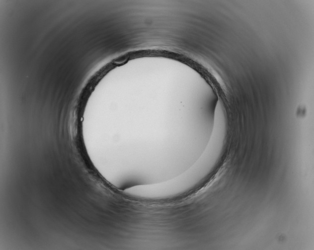 X0000102851069200809151122