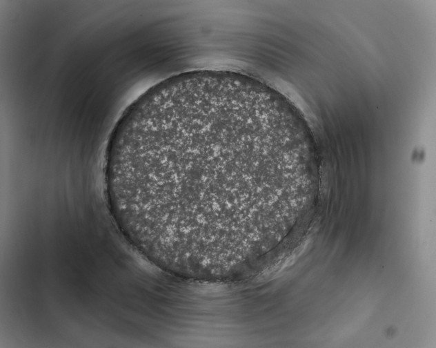 X0000102851071200809151122