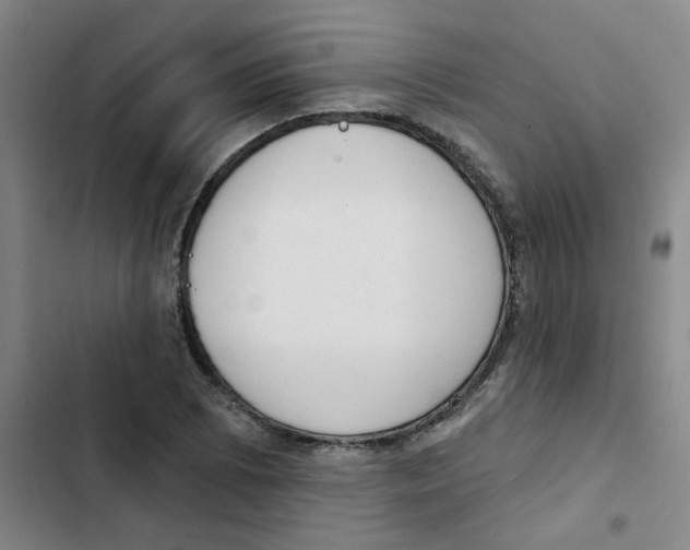 X0000102851073200809151122