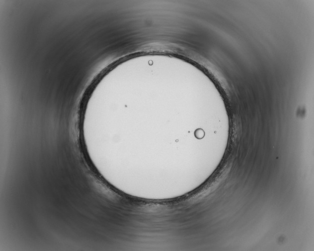 X0000102851075200809151122