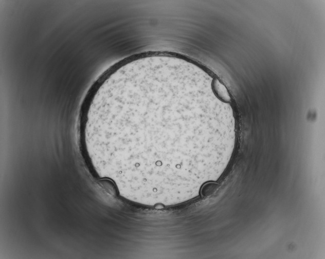 X0000102851076200809151122