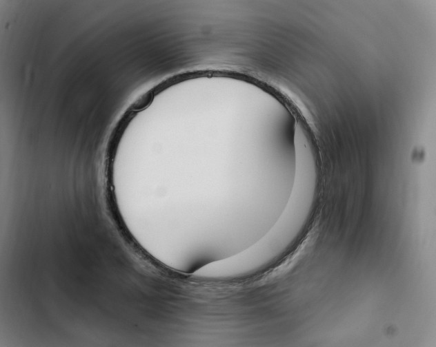 X0000102851077200809151122