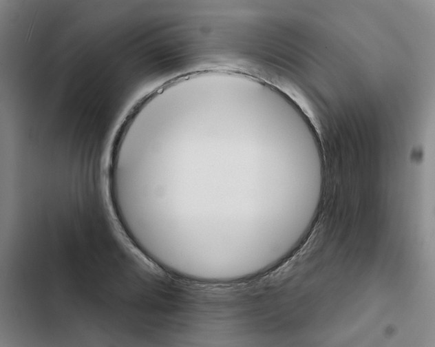 X0000102851080200809151122