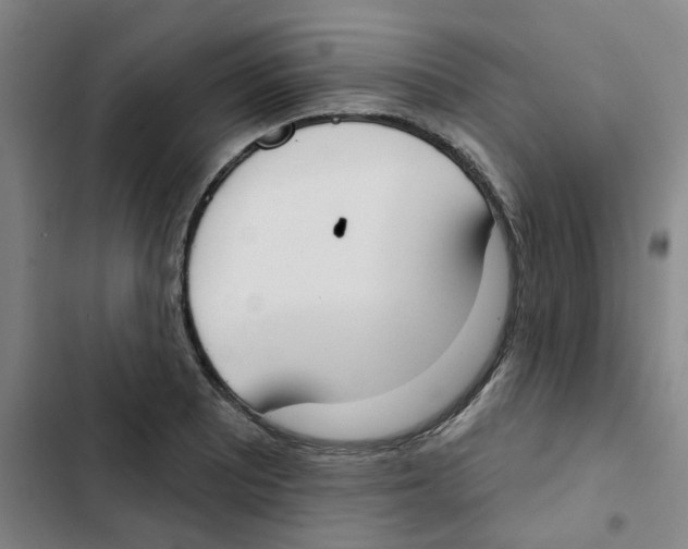 X0000102851081200809151122