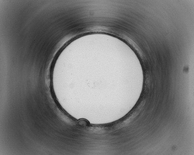 X0000102851082200809151122