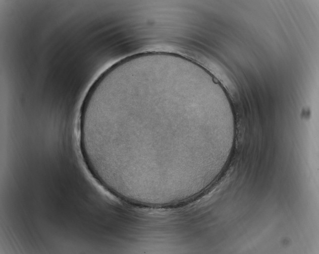 X0000102851084200809151122