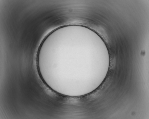 X0000102851086200809151122