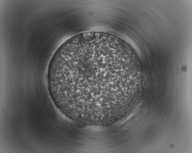 X0000102851087200809151122