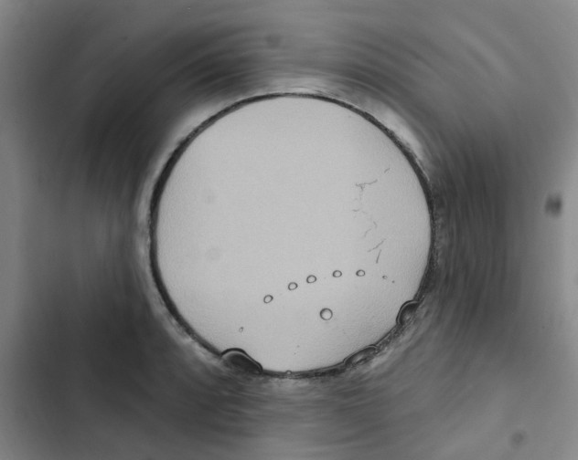 X0000102851088200809151122