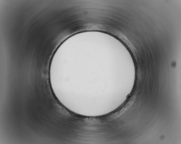 X0000102851089200809151122