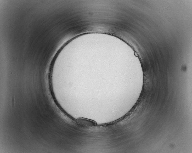 X0000102851091200809151122