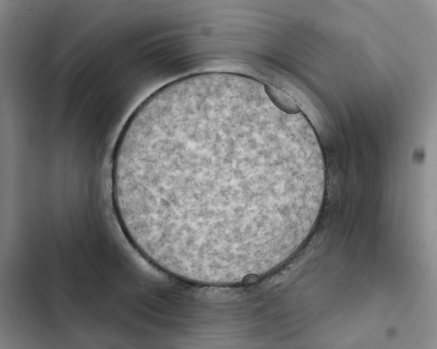 X0000102851092200809151122