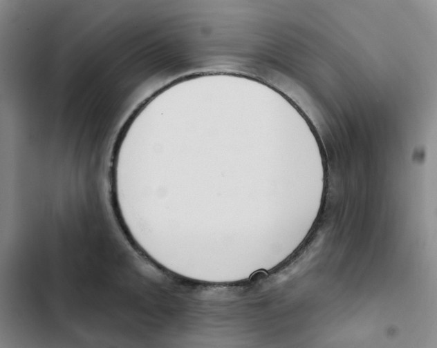 X0000102851093200809151122