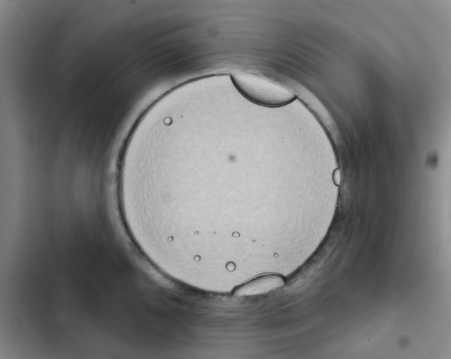 X0000102851096200809151121