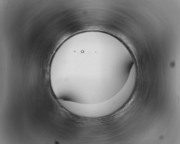 X0000102851097200809151121