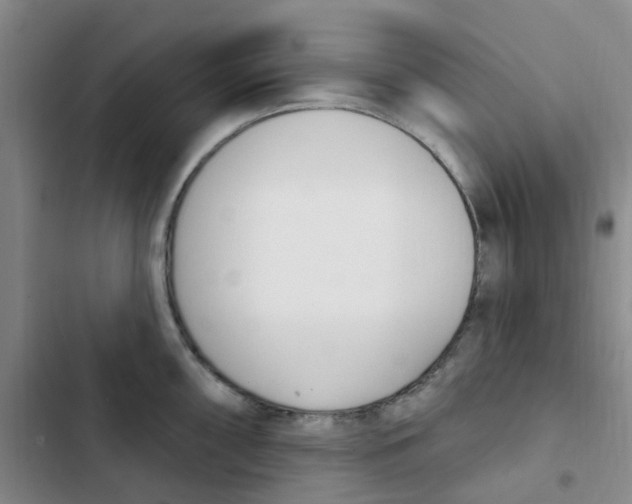 X0000102851098200809151121