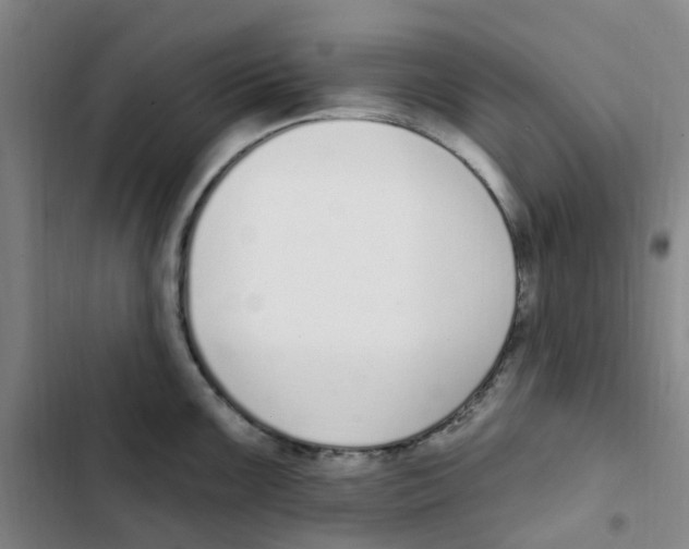 X0000102851099200809151121